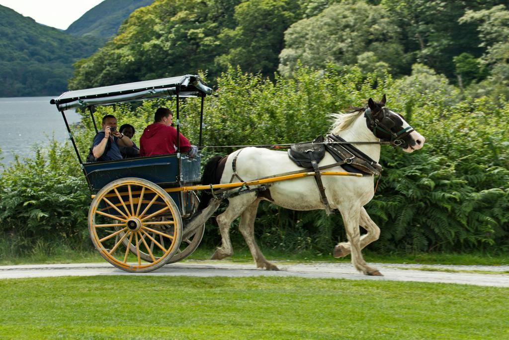 Eviston House Hotel Killarney Buitenkant foto